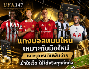 แทงบอลแบบไหนเหมาะกับมือใหม่
